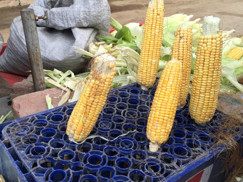 corncobs