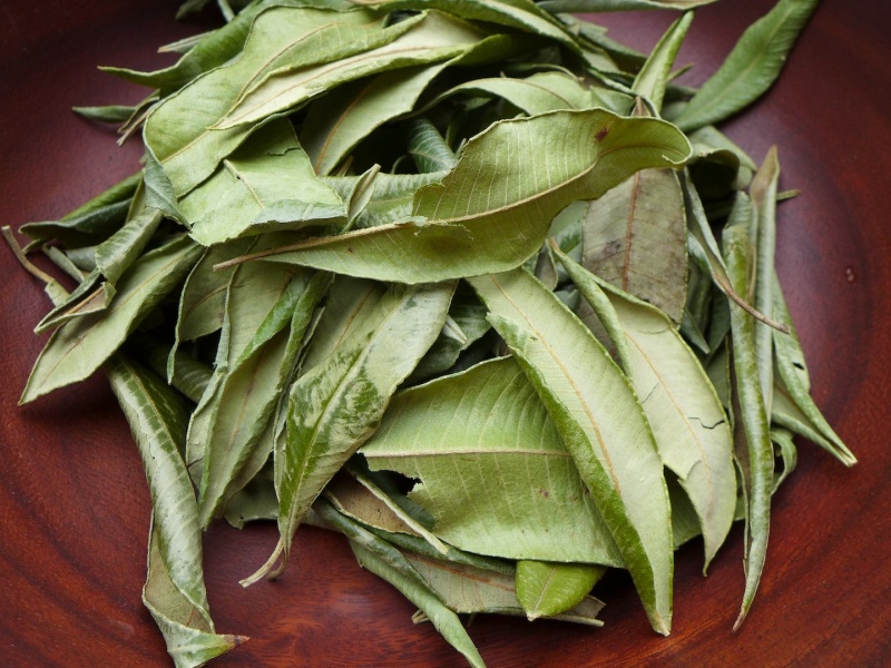 lemon myrtle bush food melbourne