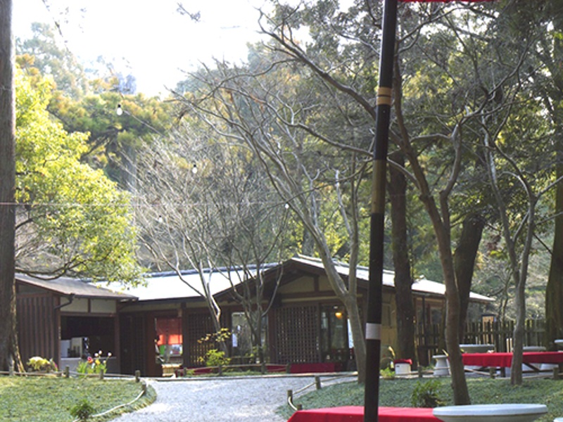 tranquil cafe in nara inside a shrine