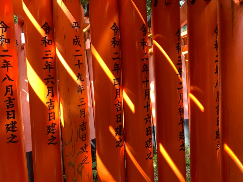 torii gates at fushimi inari shrine