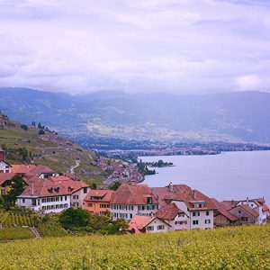 lavaux